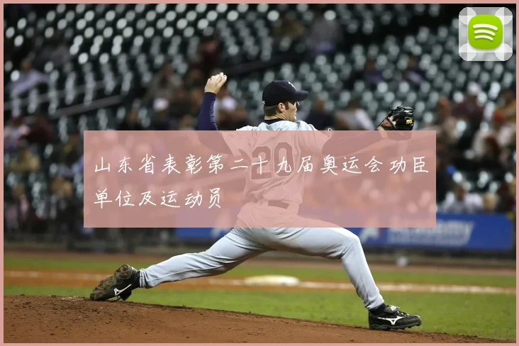 山东省表彰第二十九届奥运会功臣单位及运动员