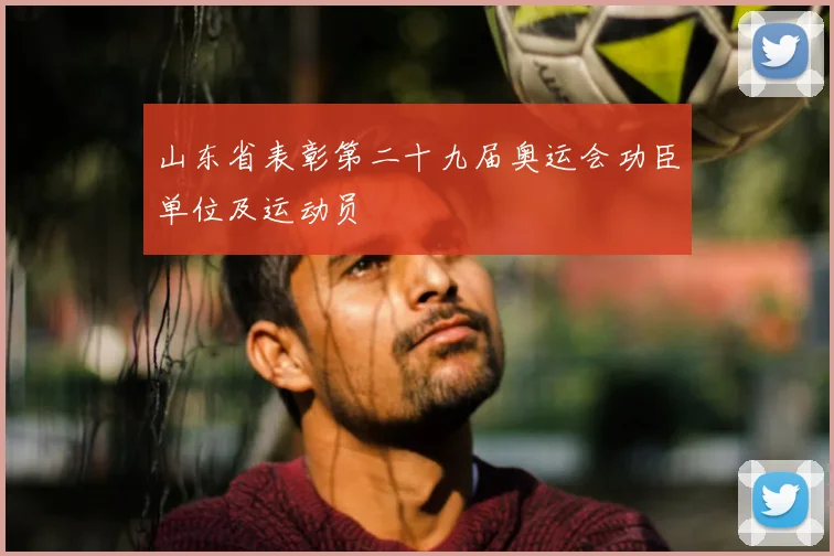 山东省表彰第二十九届奥运会功臣单位及运动员