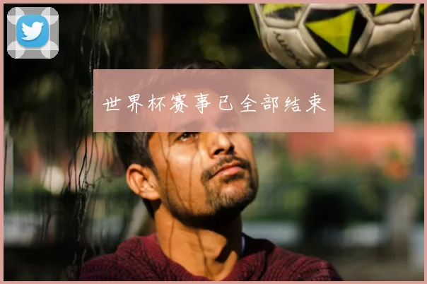世界杯赛事已全部结束