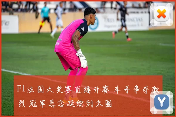 F1法国大奖赛直播开赛 车手争夺激烈 冠军悬念延续到末圈