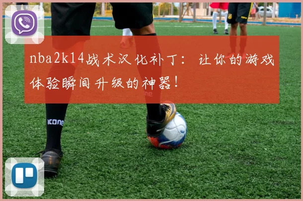 nba2k14战术汉化补丁:让你的游戏体验瞬间升级的神器!