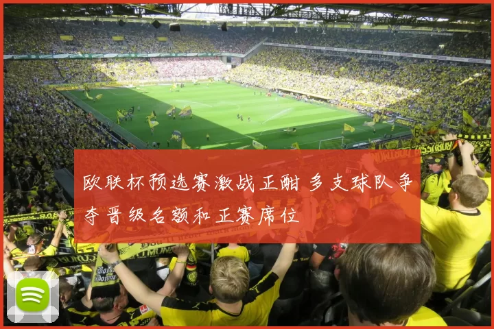 欧联杯预选赛激战正酣 多支球队争夺晋级名额和正赛席位